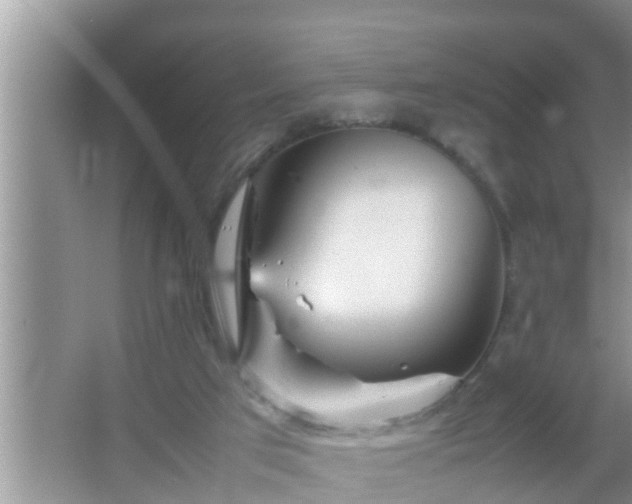 X0000067480017200604150028