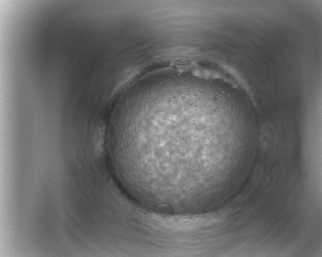 X0000067480018200604150028