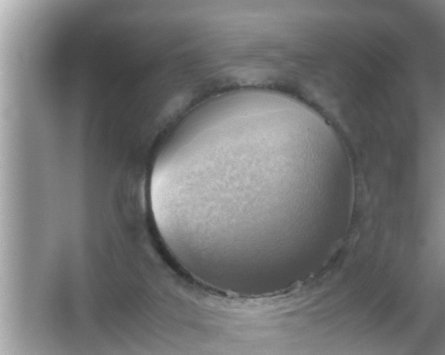 X0000067480019200604150028