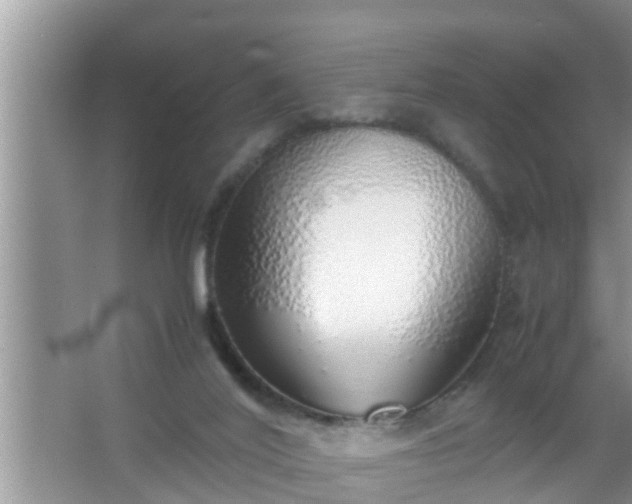 X0000067480020200604150028