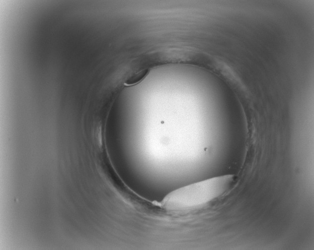 X0000067480021200604150028