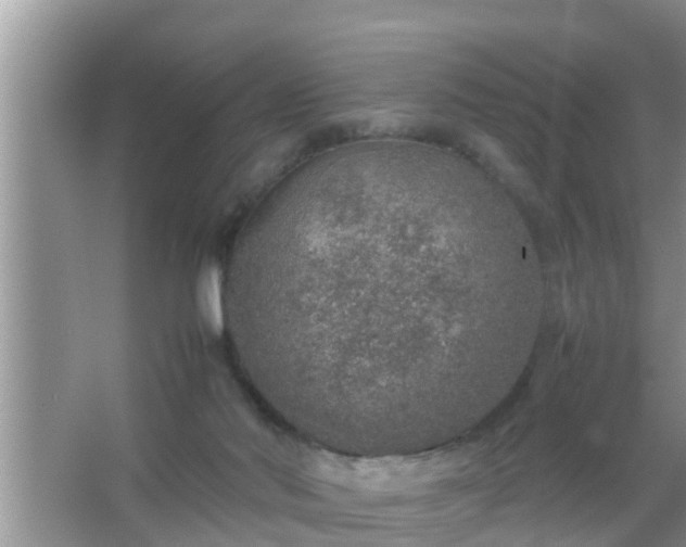 X0000067480022200604150028