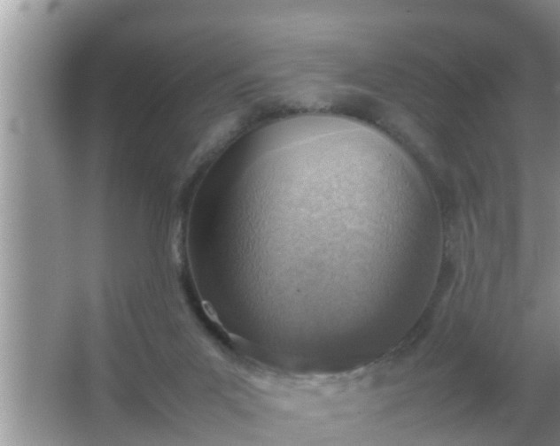 X0000067480023200604150028