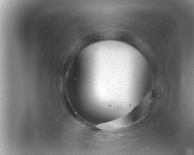 X0000067480025200604150028