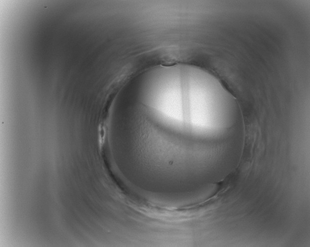 X0000067480027200604150028