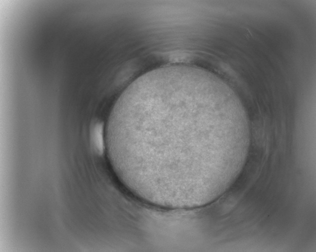 X0000067480028200604150027