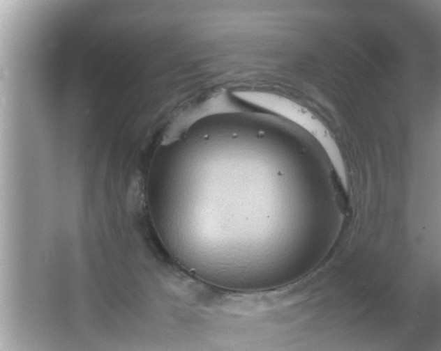 X0000067480029200604150027