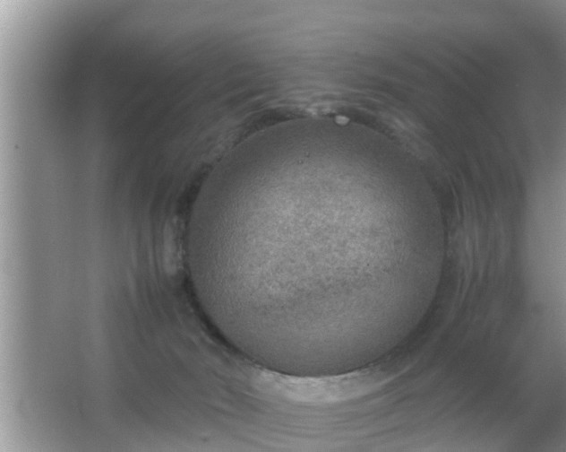 X0000067480030200604150027