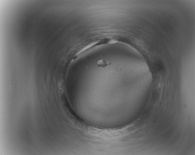 X0000067480031200604150027