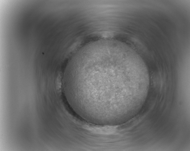 X0000067480032200604150027