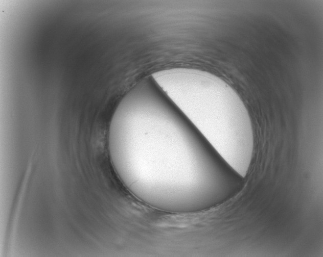 X0000067480033200604150027