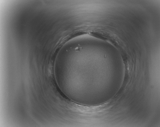 X0000067480035200604150027