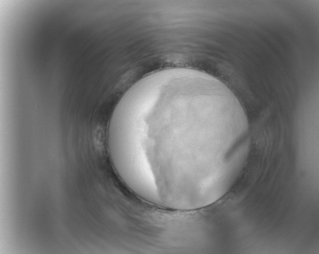 X0000067480036200604150027