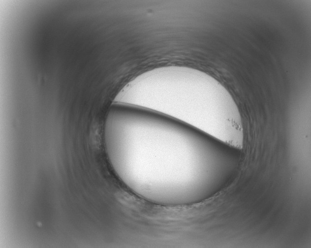 X0000067480037200604150027