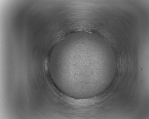 X0000067480038200604150027