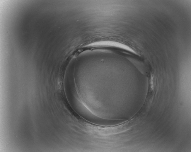 X0000067480039200604150027