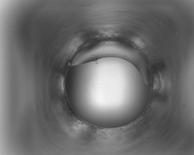 X0000067480041200604150027