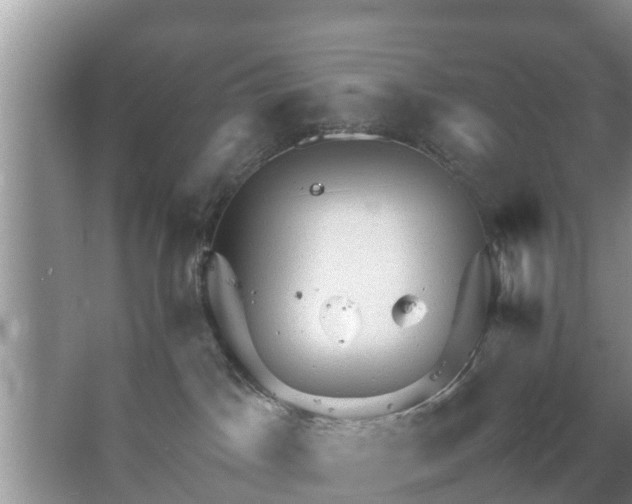 X0000067480045200604150027