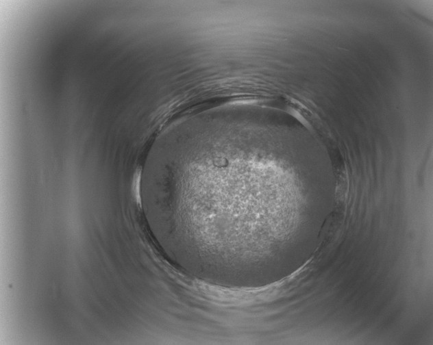 X0000067480047200604150027