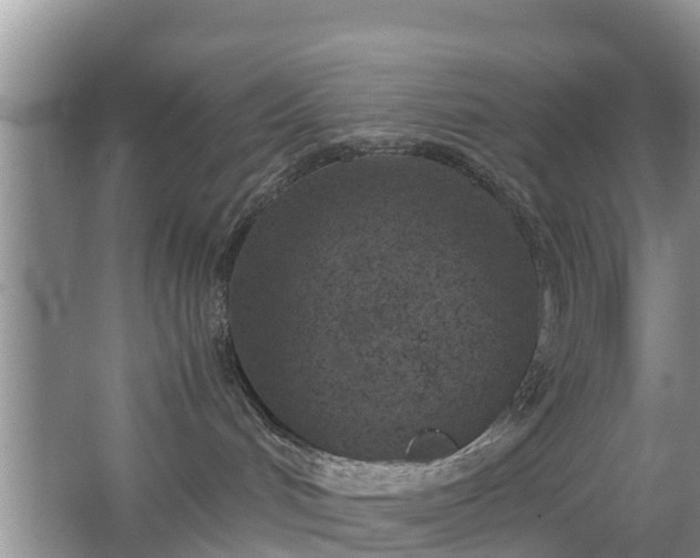 X0000067480048200604150027