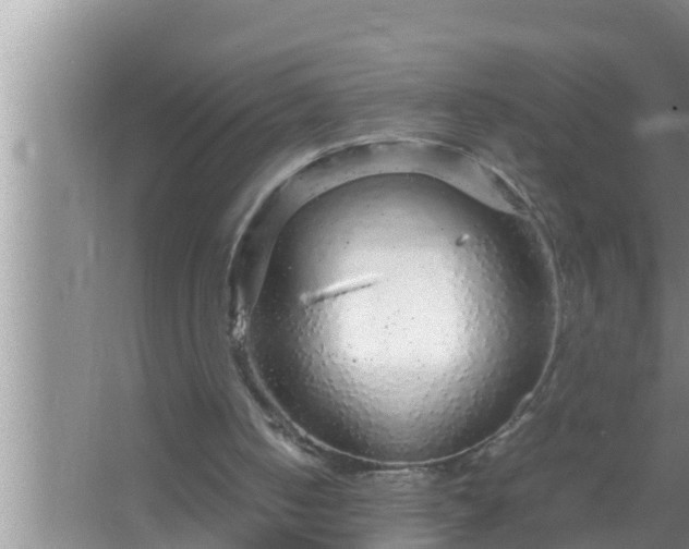 X0000067480050200604150026