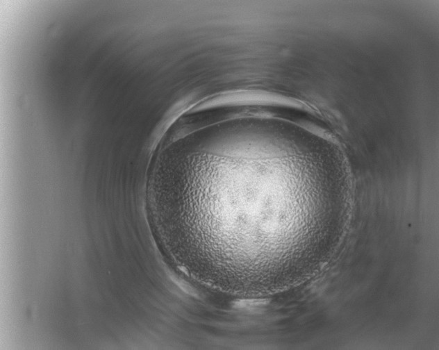 X0000067480051200604150026