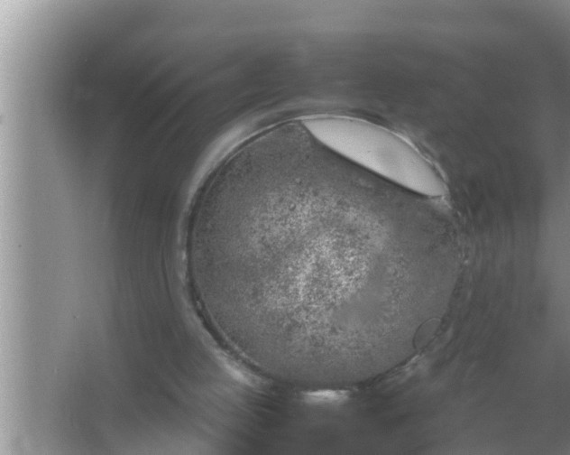 X0000067480053200604150026