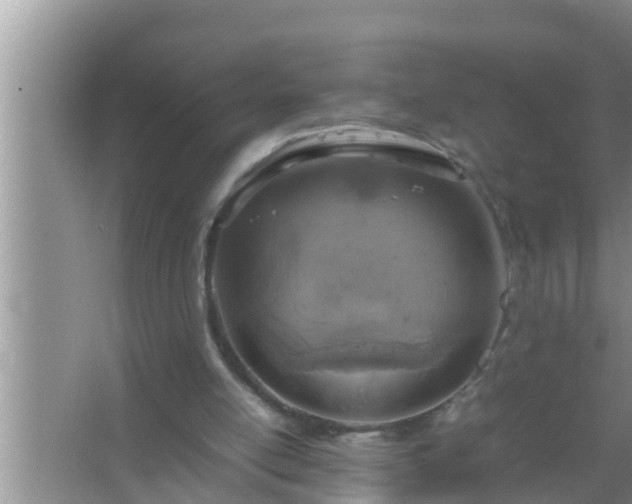 X0000067480054200604150026