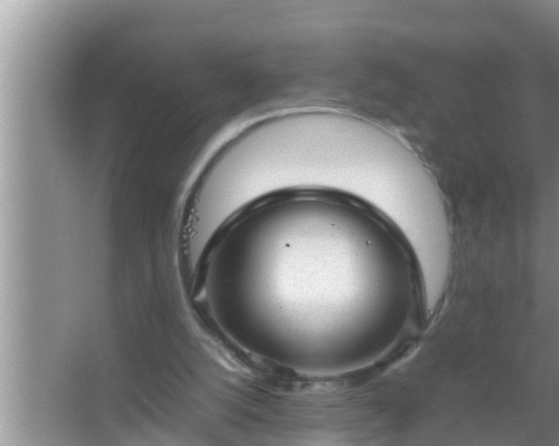 X0000067480056200604150026