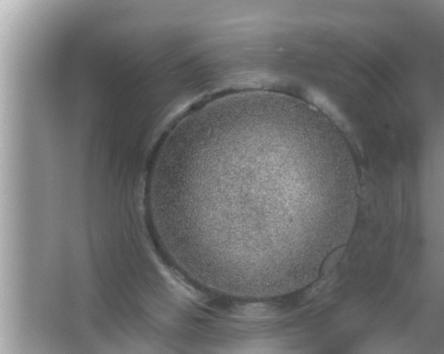 X0000067480058200604150027