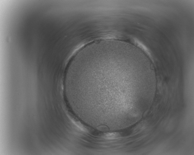 X0000067480059200604150027