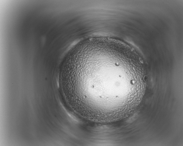 X0000067480062200604150027