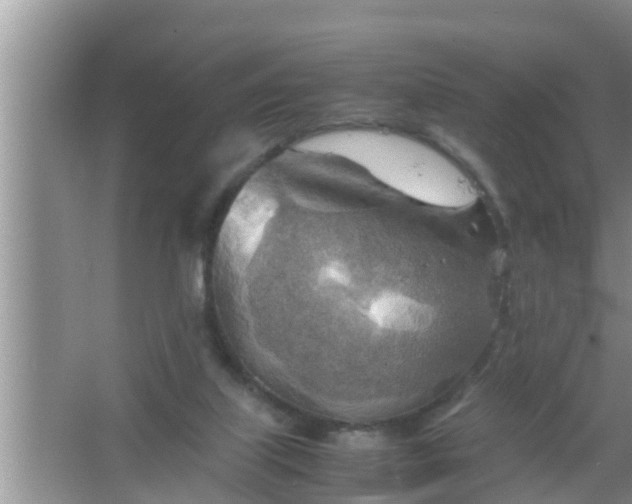 X0000067480067200604150027