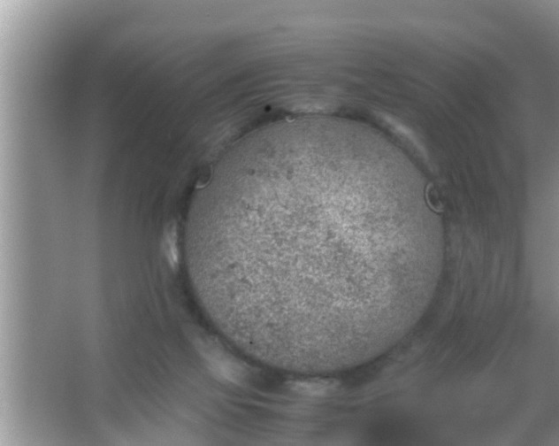 X0000067480069200604150027