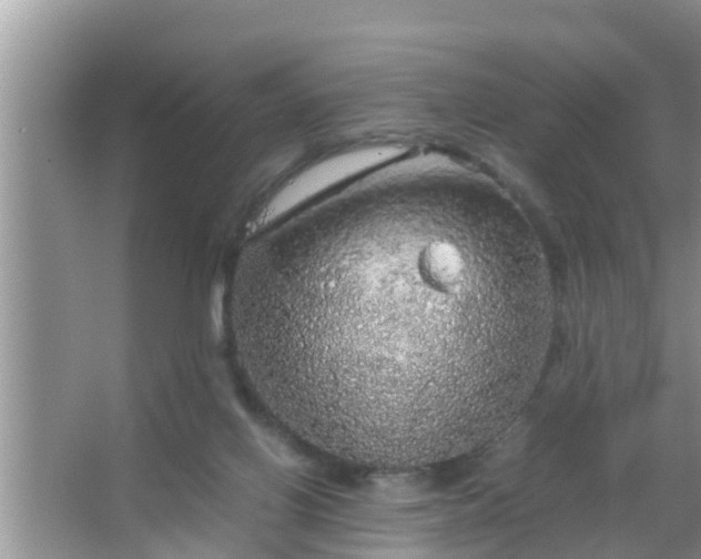 X0000067480070200604150027