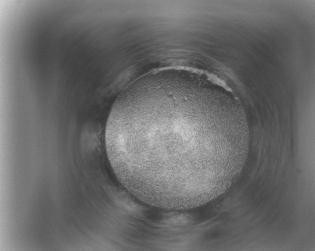 X0000067480073200604150027