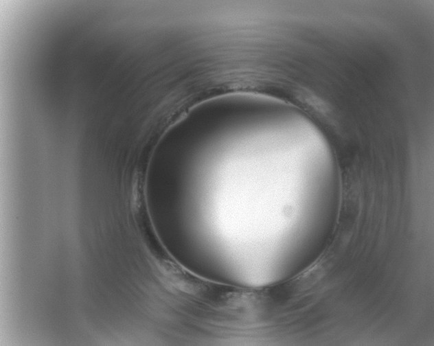 X0000067480074200604150027