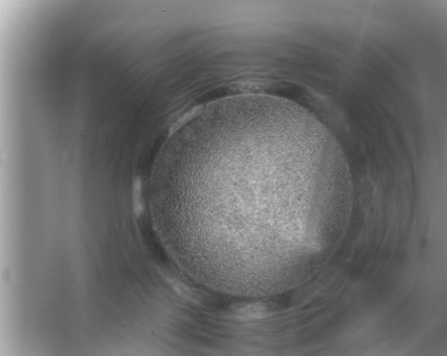 X0000067480075200604150027