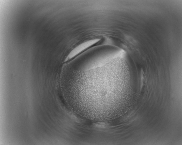 X0000067480079200604150027