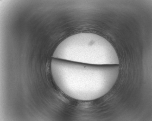 X0000067480081200604150027