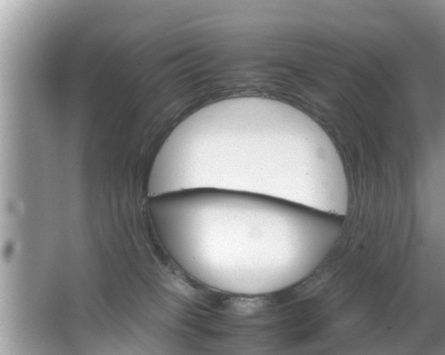 X0000067480085200604150027