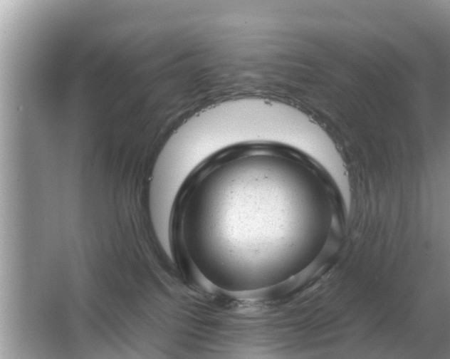 X0000067480088200604150027