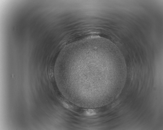 X0000067480091200604150027