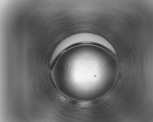 X0000067480093200604150027