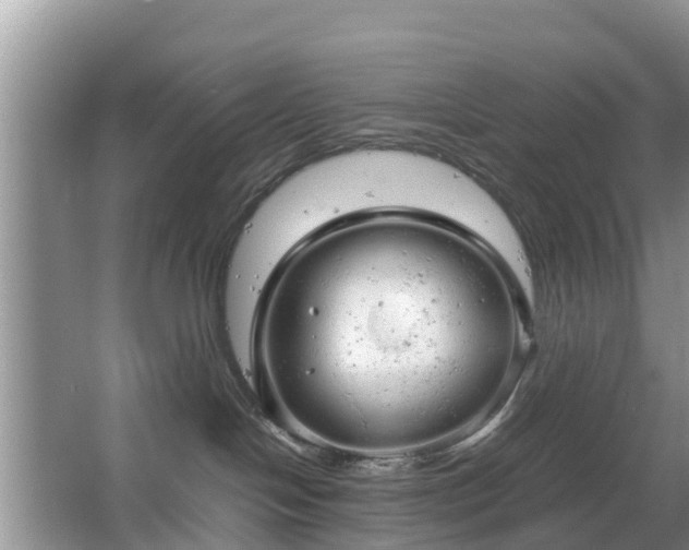 X0000067480094200604150027