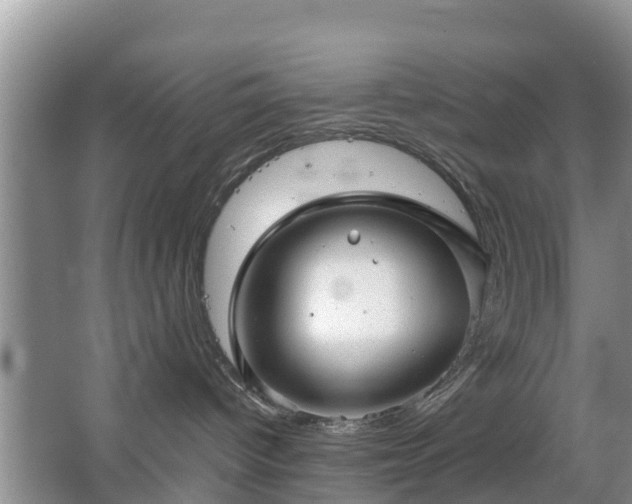 X0000067480096200604150027