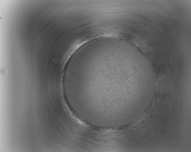 X0000067480098200604150026