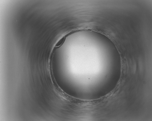 X0000067480100200604150026