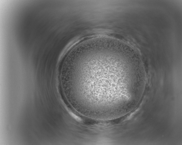 X0000067480101200604150026