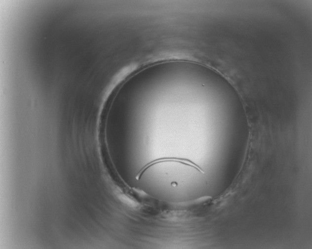 X0000067480104200604150026